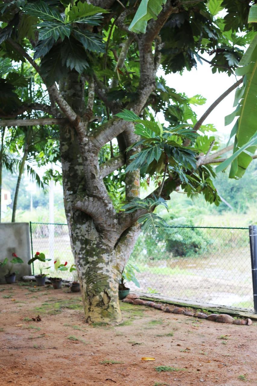 Kaumadi Villa Unawatuna Buitenkant foto